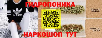 мяу мяу мука Севастополь