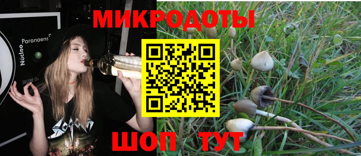 Галлюциногенные грибы Magic Shrooms  Вход с VPN  Сланцы 